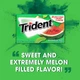 Блок жуйок Trident Watermelon Twist 12 шт - зображення 4