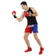 Шорти для тайського боксу та кікбоксингу Twins Kikboxing Heroe 9950 розмір XL (50-52) Red-Blue - зображення 7
