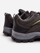 Buty trekkingowe męskie niskie Ibarina 41 Szare (5905677968729) - obraz 4