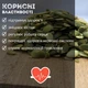 Семечки тыквы (ядро) сушеные очищенные 300 г Clear (P-R-300) - изображение 5