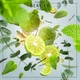 Картридж Аромадифузора в машину (2шт.) Maison Berger AROMA Travel - Aromatic Garden (6439-BER) - изображение 2