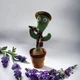 Танцюючий кактус співаючий з підсвічуванням, 120 пісень, 31 см Dancing Cactus - изображение 2