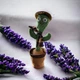 Танцюючий кактус співаючий з підсвічуванням, 120 пісень, 31 см Dancing Cactus - изображение 3