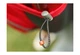 Рюкзак KingCamp Orchid 40 (KB4219 Red) - изображение 14
