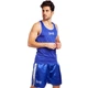 Форма для бокса боксерская форма Matsa 6011 размер L (48-50) Blue-White - изображение 1