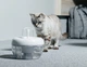 Фонтан-поїлка для котів і собак PAWOOF 1.5L з фільтром, Білий (006-WHITE) - зображення 4