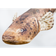 Подушка-игрушка Gaby Плоскоголовий 102х30см(3KB2121) - изображение 3