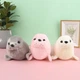 Мягкая игрушка морской котик 25 см серый (NR0160_3) - изображение 3
