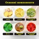 Детокс капсули для ванночок для ніг FOOT SOAK 10 шт - зображення 2