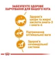 Влажный корм Royal Canin FCN HAIR SKIN CARE CIG для кошек из домашней птицы 3+1 по 85 г - изображение 3