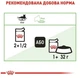 Вологий корм Royal Canin Digest Sensitive Gravy pouch для котів із чутливим травленням із домашньою птицею 3+1 до 85 г - зображення 6