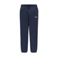 Штаны на флисе Levi's LVN BOXTAB JOGGER 9EJ763-C8D 14р. 164 см - изображение 1