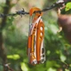 Мультитул LEATHERMAN Skeletool SX - зображення 2