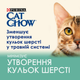 Влажный корм Purina Cat Chow для взрослых котов Выведение шерсти, кусочки в желе курица с зеленой фасолью 78шт*85г - изображение 9