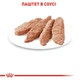 Вологий корм для котів Royal Canin Instinctive Loaf-Textura 85 г - изображение 4