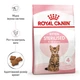 Сухий корм для котят Royal Canin Kitten Sterilised 2 кг + 400 г - свійський птах - зображення 2