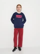 Подростковый свитшот Levi's Batwing Crewneck Sweatshirt 4E6660-B9G-LR 146-152 см (12A) Синий (3665115691818) - изображение 2