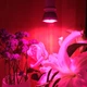 Фітолампа GreenHouse GR-28 з світильником-прищепка - зображення 2