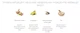 Сухой корм Josera Kids для щенков 12,5 кг - изображение 6