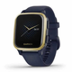 Смарт-часы Garmin Venu Sq Music Navy/Light Gold (010-02426-12) - изображение 1