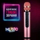 Караоке микрофон Losso M6 Premium Duet розовый со стерео звуком - изображение 7
