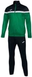 Мужской спортивный костюм Joma DANUBIO TRACKSUIT Черный Зеленый S (102746.451) - изображение 1