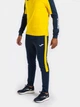 Спортивные брюки Joma ECO CHAMPIONSHIP Темно-синий, Желтый M (102752.339) - изображение 1