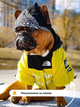 Куртка ветровка с тонкой подкладкой водонепроницаемая the dog face для собак желтая L размер - изображение 2