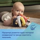 Игрушка-мячик с погремушкой и пищалкой BabiesBoo Canpol babies (5901691870758) - изображение 11