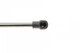 Амортизаторы капота / багажника LESJOFORS 8192541 Toyota Corolla 689500W140, 689600W140 - изображение 4
