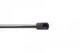 Амортизатори капота/багажника LESJOFORS 8195025 Volkswagen Transporter 701829331Q, 7D0829331D, 701829105E - зображення 4