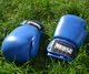 Перчатки боксерские PowerPlay 3004 12 унций Blue (PP_3004_12oz_Blue) - изображение 7