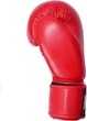 Перчатки боксерские PowerPlay 3004 10 унций Red (PP_3004_10oz_Red) - изображение 3
