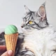 Мячик для котов Cheerble Ice Cream Ball C0419-C (Зеленый) - изображение 2