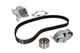 Комплект ГРМ SKF VKMC956603 KIA Carens, Sportage, Magentis, Ceed, Pro Ceed, Cerato; Hyundai Tucson, I30, Sonata, Santa Fe, Elantra, Trajet 2431227000, 2441027250, 2481027250 - зображення 2