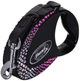 Smycz automatyczna Flexi Glam Composition S taśma 3 m czarna (4000498013588) - obraz 2