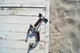 Упоры для отжиманий Power System Push Up Stand PS-4005 Black-steel (PS-4005_Black-Steel) - изображение 6