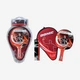Набор для настольного тенниса Donic Waldner 600 Gift Set - изображение 3