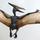Динозавр Птеранодон / Pteranodon Papo 55006 - изображение 3