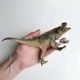 Динозавр Карнотавр / Carnotaurus Papo 55032 - изображение 2