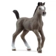 Французька верхова, лоша Schleich 13957 - изображение 1