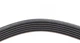 Ремінь приводний HUTCHINSON 1029 SK 6 Ford Mondeo 1465590, 1472606, 1809955 - зображення 4
