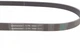 Привідний ремень Contitech 6PK1080 Peugeot 306, Expert, 3008, 806; Volkswagen Multivan, Transporter, Crafter, Bora, Polo, Amarok; Skoda Fabia; Audi A4, A1; Seat Ibiza; BMW 8 Series SPA145933A, A1119970092, 71728659 - зображення 2