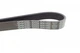 Ремінь приводний DAYCO 6PK1590 Renault Laguna, Clio; Audi A5, A4, Q5, Allroad; Seat Exeo; Peugeot 406, 607, 407; Citroen C5, C6; Ford Mondeo; Subaru Outback, Legacy 06H903137C, 5750QW, 5750XK - зображення 3