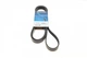 Ремінь приводний DAYCO 6PK2203 Mercedes Vito, V-Class, Sprinter, S-Class, C-Class; Ford Transit; Dodge Nitro; Jeep Cherokee KJ, Cherokee KK, Grand Cherokee II (WJ, WG), Grand Cherokee III (WH, WK), COMMANDER (XK) 53013905AC, 53013905AA, 53013864AA - зображення 1
