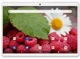 Планшет - телефон Adronix S 364 LTE Gold IPS 10.1'' 3GB/64GB + Чехол-книжка - изображение 3