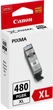 Картридж Canon PGI-480 XL Black (2023C001) - изображение 1