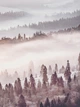 Флизелиновые фото обои горы 206 x 275 см Пейзаж - Лес под белым туманом (13573VEA)+клей - изображение 1
