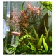 Комплект подачи CO2 (бражка) Aquario Neo System - изображение 4