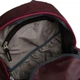 Рюкзак Deuter Gogo 25 л 3820016 5322 - зображення 11